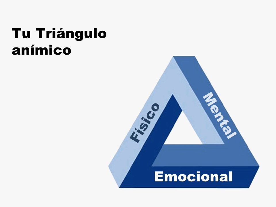41.1 triangulo - Formación Rekapp